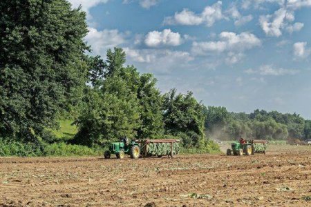 The 'Rabla for tractors' program could be launched by the end of September