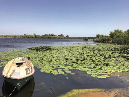 Delta Dunarii a atras doar putin peste 38.000 de turisti in ianuarie-iulie anul acesta in mod oficial, fata de peste 100.000 de turisti inregistrati anul trecut: Convietuim cu turismul la negru. In statisticile oficiale nu sunt inclusi turistii care aleg sa se cazeze in casele localnicilor din Delta Dunarii sau la negru in alte unitati turistice