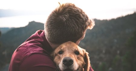 Barbat retinut pentru ca ar fi ucis un caine. Este acuzat ca a dat intentionat cu masina peste animal