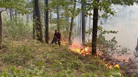 Incendiu urias intr-o padure din Mehedinti. Un elicopter Black Hawk va ajunge in zona