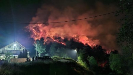 Incendiu urias de padure, in Valcea. Ard 10 hectare de vegetatie, la mica distanta de casele oamenilor