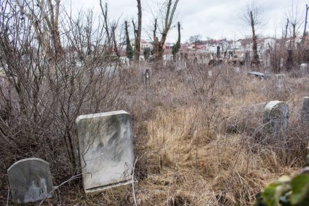 Peste 260 de schelete umane gasite pe santierul viitorului spital din Vaslui. Este vorba de un cimitir