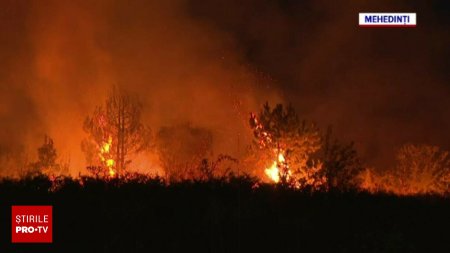 Incendiile de vegetatie fac prapad in mai multe zone din tara. In Mehedinti flacarile au mistuit peste 200 de hectare