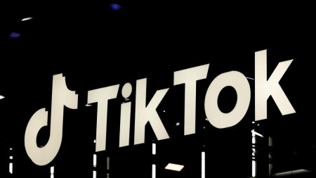 TikTok ajuta extrema dreapta din Germania sa castige alegerile regionale