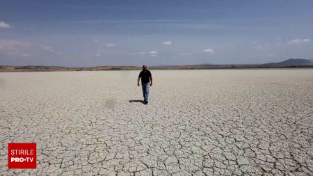 VIDEO. Imagini cu dezastrul produs de seceta in Halkidiki si alte zone din Grecia: 