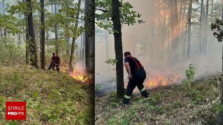 Romanii care dau foc tarii. Vor sa isi curete terenurile, dar provoaca incendii uriase care inghit paduri si locuinte