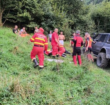 Tanar din Maramures, atacat de o ursoaica in timp ce isi cauta un animal ratacit in padure