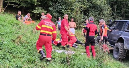 Barbat din Maramures, atacat de o ursoaica. Omul cauta un animal ratacit in padure