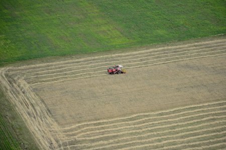 Adio subventie pe suprafata si numar de animale? UE planuieste sa revizuiasca in profunzime Politica agricola comuna / Strohschneider: 