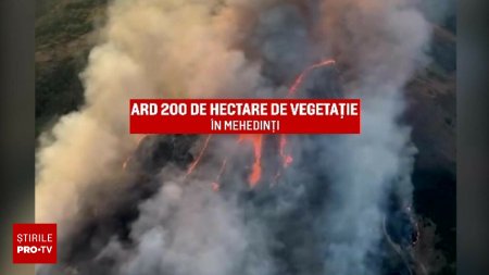 Lupta cu incendiile de vegetatie este tot mai dramatica. Cele mai mari pagube: Bihor, Caras-Severin, Mehedinti, Gorj, Valcea