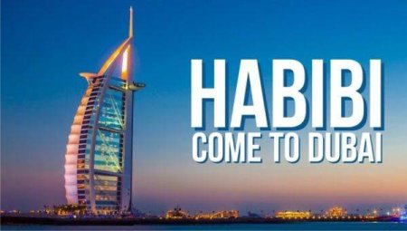 'Habibi come to Dubai', o calatorie prin lumea memelor si a comunitatii crypto