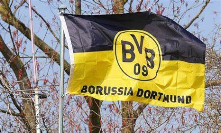 Compania unui afacerist roman a devenit sponsorul echipei Borussia Dortmund