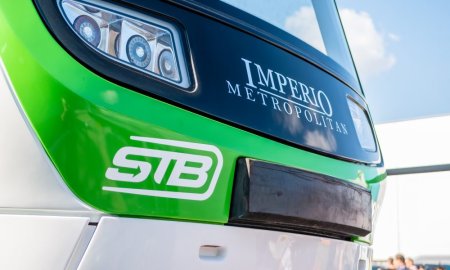 STB: Accesul animalelor de companie este permis in vehiculele societatii, dar cu respectarea unor reguli