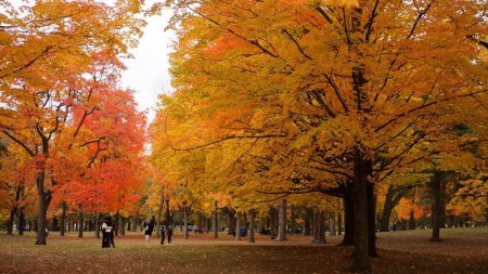 Vreme calduroasa cu precipitatii reduse in prima luna de toamna. 43,5 grade, recordul de temperatura, in septembrie