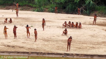 Doi taietori de lemne au fost ucisi de sageti intr-o confruntare cu cel mai izolat trib din Peru, care este fortat sa-si paraseasca teritoriul