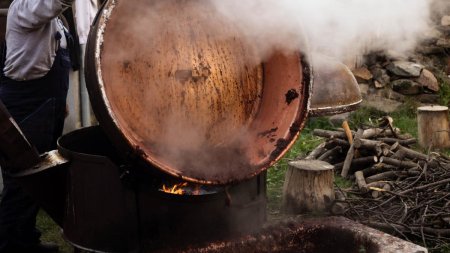 Un barbat a murit ars de viu langa cazanul cu tuica, la Vaslui. Sotia l-a gasit in jar, cuprins de flacari