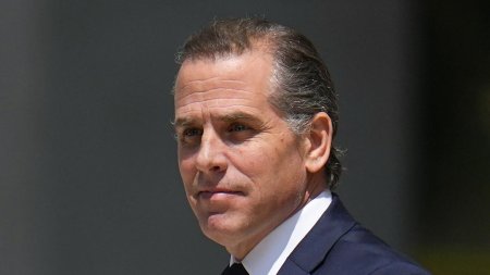 Hunter Biden a decis sa pledeze vinovat in procesul de evaziune fiscala. Fiul presedintelui american a incasat milioane de dolari de la <span style='background:#EDF514'>PUIU POPOVICI</span>