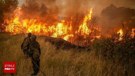 O femeie din Grecia a dat foc unei paduri de doua ori pentru a flirta cu pompierii