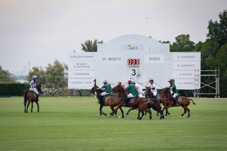 Romania va fi pentru prima data gazda unei competitii internationale de polo calare. Evenimentul va avea loc la Singureni Manor si va pune tara pe harta mondiala a acestui sport