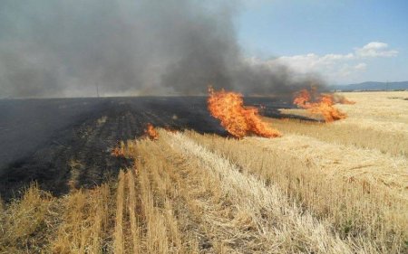 Campanie de identificare a incendiatorilor de vegetatie