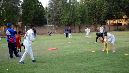 Orasul italian care a interzis cricketul. Primar: Jucatorii 