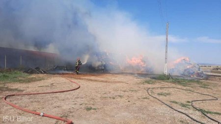 Incendiu la o ferma de magarite, stins de pompieri in aproximativ sapte ore