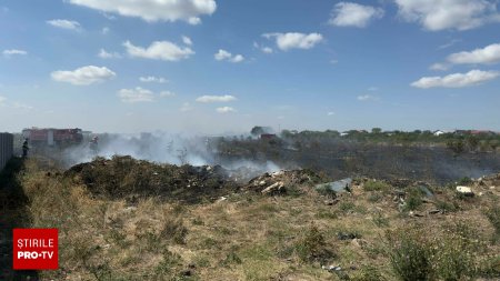 Incendiu de vegetatie, in orasul Bragadiru din Ilfov. A fost emis mesaj Ro-Alert