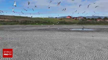 Schimbarile climatice aduc dezastre in Romania. Lacuri intregi au disparut, padurile s-au uscat si au izbucnit incendii