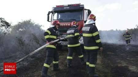 Incendiile de vegetatie provoaca dezastru in intreaga tara. Salvatorii au ajuns sa lupte si cu <span style='background:#EDF514'>INCONSTIENTA</span> oamenilor