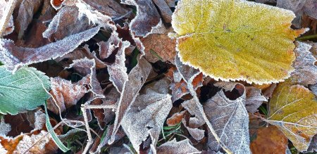 Minus 0,4 grade Celsius la Miercurea-Ciuc, duminica dmineata. A fost cea mai scazuta temperatura din tara