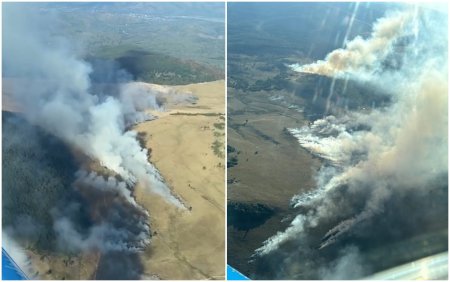 Incendiu in Muntii Gutai, in zona montana Ignis. Ard cinci hectare de teren, iar accesul este dificil