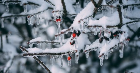 Cand este asteptata prima ninsoare in Romania. Meteorologii anunta ploi inghetate in perioada urmatoare