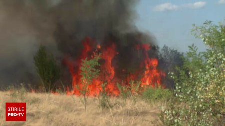 Incendiile cuprind Romania. In fiecare zi apar noi focare. Focul a ajuns pana si in cimitire