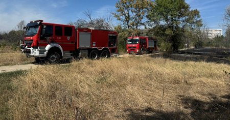 Incendiu puternic in <span style='background:#EDF514'>PARCUL IOR</span>. Fumul a ajuns pana la metrou