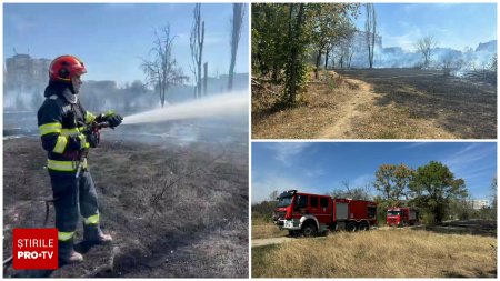 Un incendiu masiv a izbucnit in <span style='background:#EDF514'>PARCUL IOR</span> din Capitala. Flacarile au distrus 20.000 de metri patrati