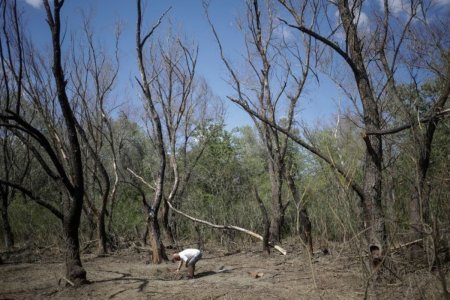 Fragmente de drona ruseasca, gasite in Tulcea. MApN: A fost semnalata o alta posibila zona de impact