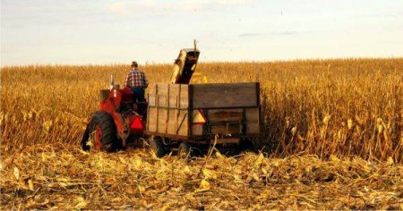 Ministrul Agriculturii: 'Este necesar sa urgentam distribuirea fondurilor europene destinate despagubirilor'