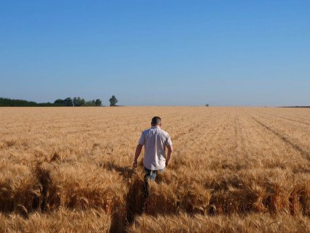 Maria Cirja, Corteva Agriscience: 'Tehnologiile de varf protejeaza si intaresc sanatatea culturilor agricole din Romania '