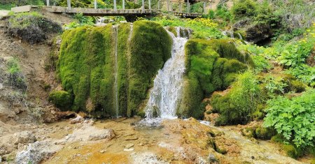 Cascada din Romania care a facut furori printre turisti. Se ascunde intr-o padure de fag si este mai frumoasa decat Cascada Bigar. VIDEO