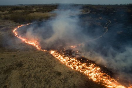 Arderile necontrolate de vegetatie si deseuri menajere au afectat, marti, peste 1400 de hectare