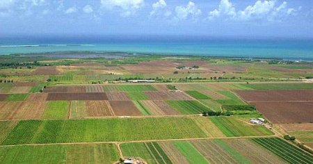 Ce poti risca daca vinzi un teren cu valoare mare. Patania unui roman