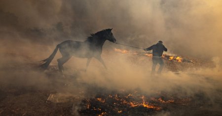 Los Angeles este sub stare de urgenta, din cauza incendiilor. Flacarile au distrus zeci de locuinte