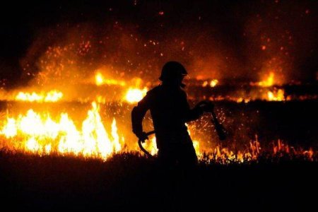 Media: Incendiile fac ravagii in California, mii de hectare arse in jurul orasului Los Angeles