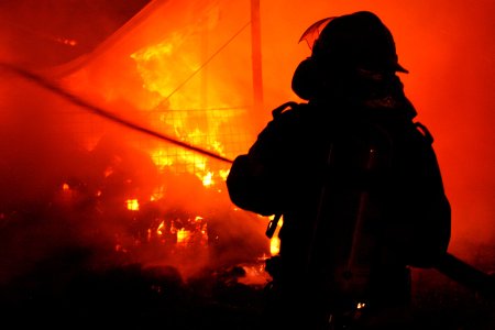 Stare de urgenta in California. Statul american se confrunta cu trei incendii de proportii distrugand zeci de locuinte si afectand mii de persoane din zona Los Angeles