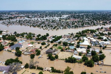 Inundatiile din Nigeria elibereaza animale periculoase, amenintand siguranta localnicilor