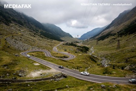 Selfie periculos cu ursul: Un turist si-a pus copilul in pericol pe Transfagarasan