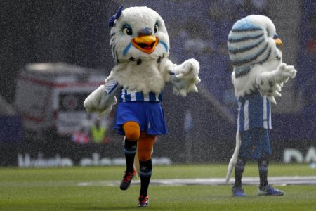 Fotbalist din LaLiga, condamnat pentru agresiune sexuala asupra unei mascote pe stadion