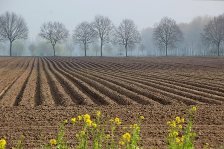 Motocultor sau motosapa: cum faci alegerea potrivita?