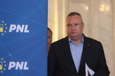 Institutia derogarii ia avant in PNL. Liberalii raman in zodia candidatului importat, nu format