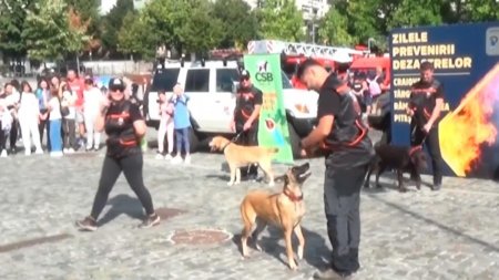 Cainii salvatori in caz de dezastre, demonstratie de Ziua Pompierilor la Ramnicu Valcea